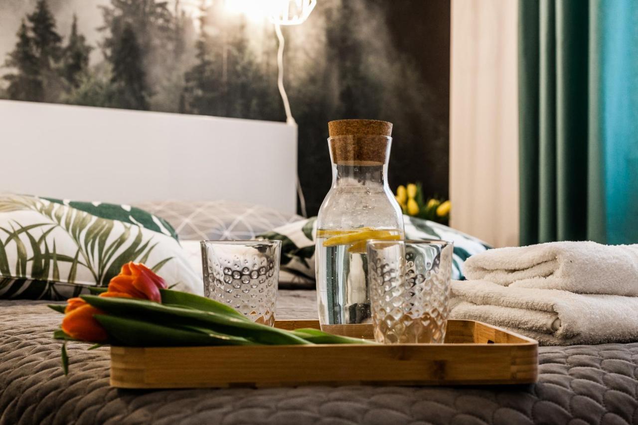Apartament Rezydencja Vintage No1 Olsztyn  Zewnętrze zdjęcie