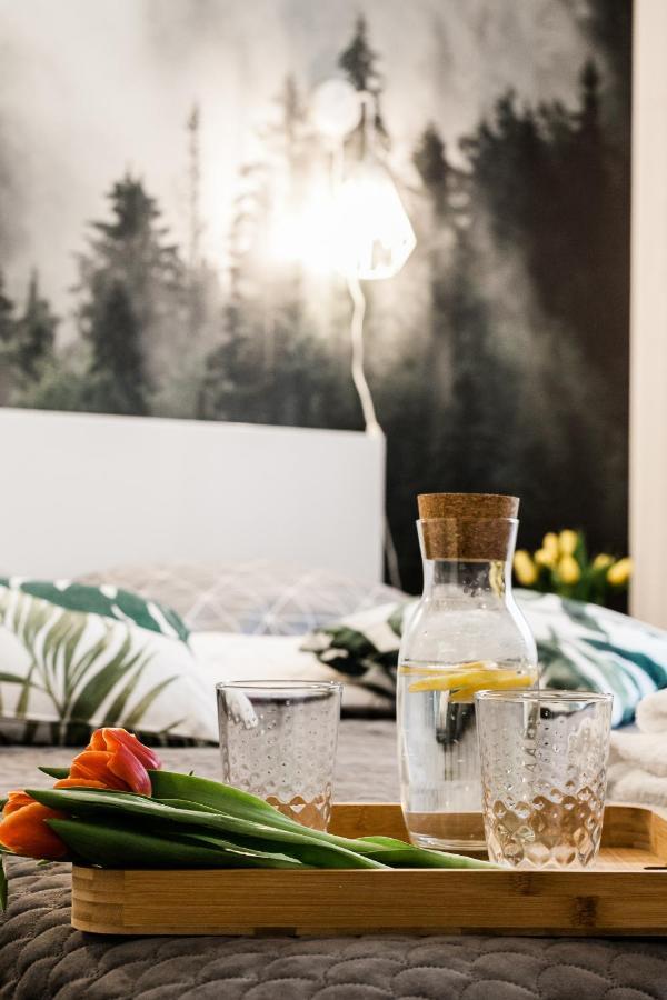 Apartament Rezydencja Vintage No1 Olsztyn  Zewnętrze zdjęcie